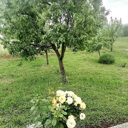 Prázdninový dům Filip I Petra *
